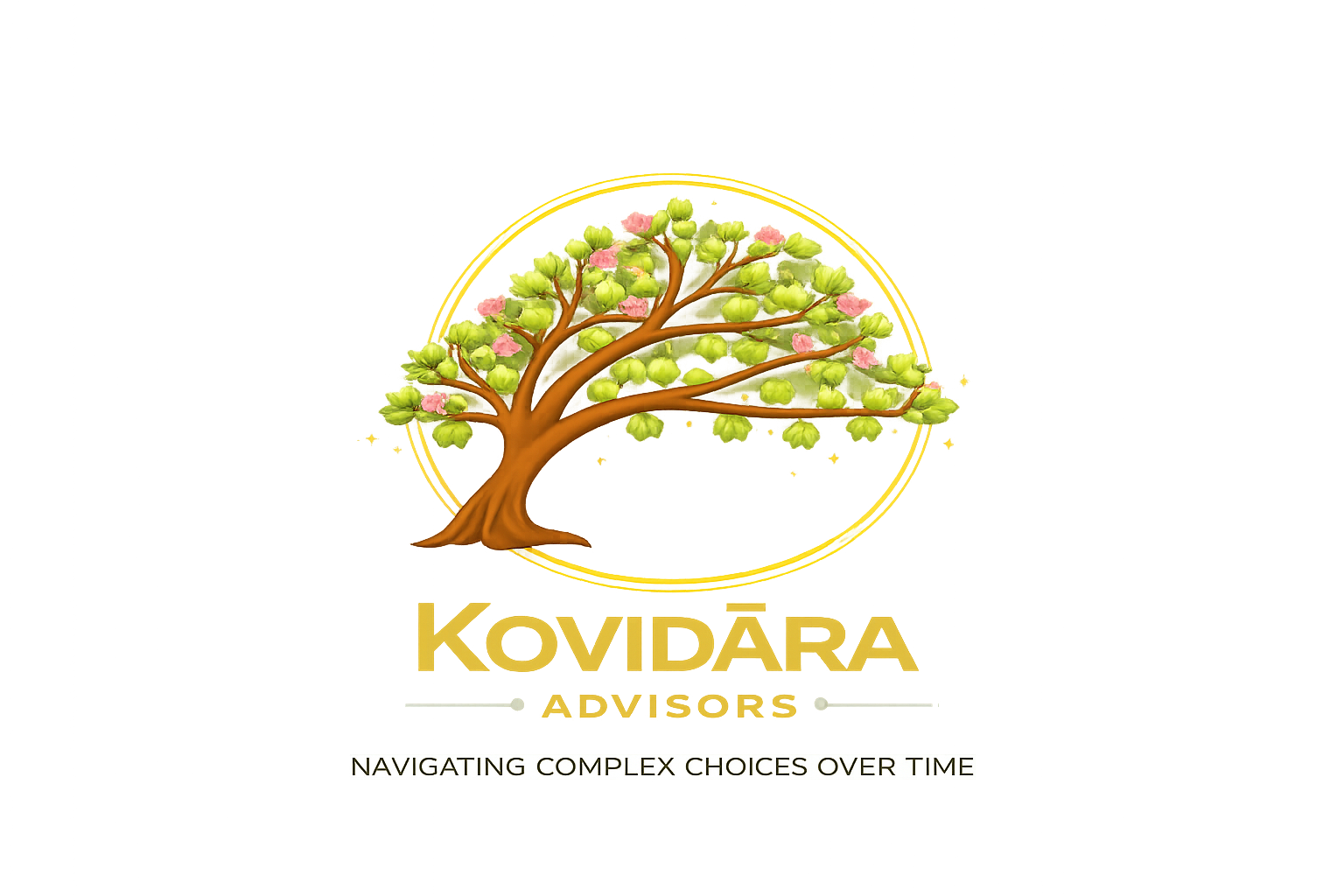 Kovidara Advisors — Navigating Complex Choices Over Time